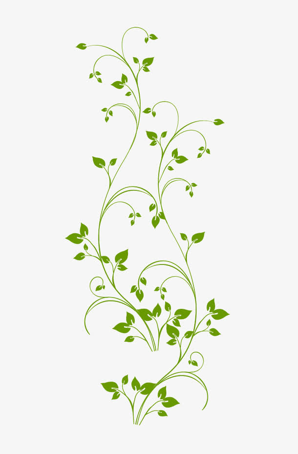 矢量植物藤蔓素材免费下载_觅元素