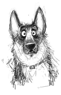 黑背犬