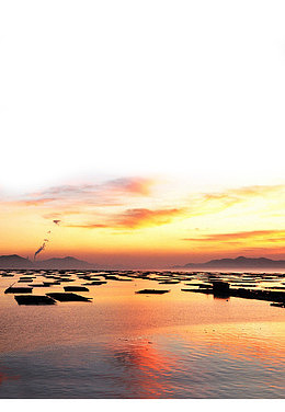 海滩美景