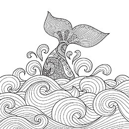 矢量鱼尾巴