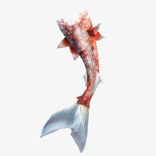 举报上传用户共长歌素材信息编号 :lqstmxbtxf格式 :png尺寸 :500