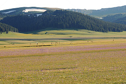 赛里木湖果子沟景点