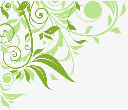 树叶aipng金色叶子边角装饰png绿色叶子 花边装饰png淡雅花藤png线稿