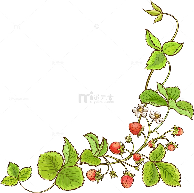 绿色清新草莓藤蔓