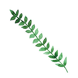 矢量绿色藤蔓植物装饰