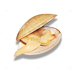 可口美味的海鲜