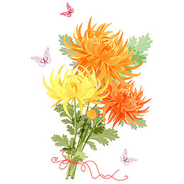 卡通菊花