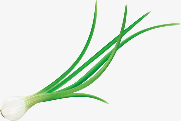 绿色简约大葱素材免费下载_觅元素