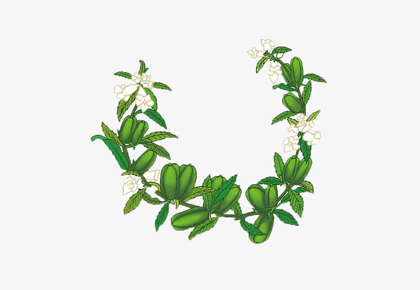 手绘芝麻花插画