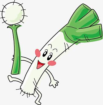 png手绘大葱png卡通大葱png下载png线描大葱png手绘大葱aipng一把大葱