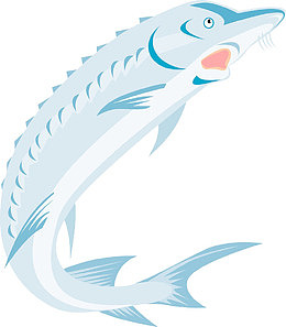 卡通 鲟鱼 标志