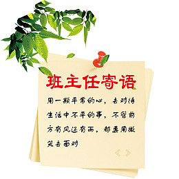 树叶纸张