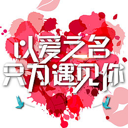 以爱之名遇见你