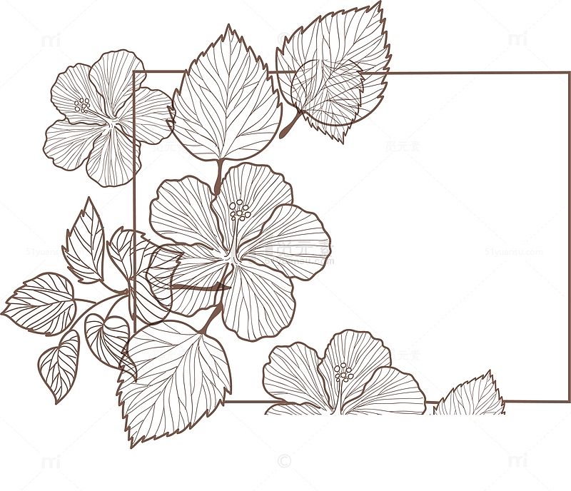 手绘线条夏日花朵装饰框
