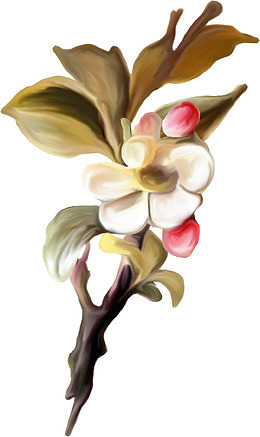 卡通花叶