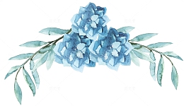 水彩蓝色花叶子组合