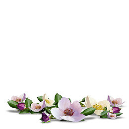 散落的花叶