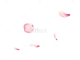 漂浮的粉色花瓣