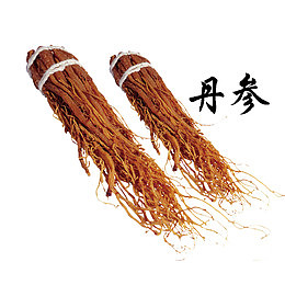 草药丹参