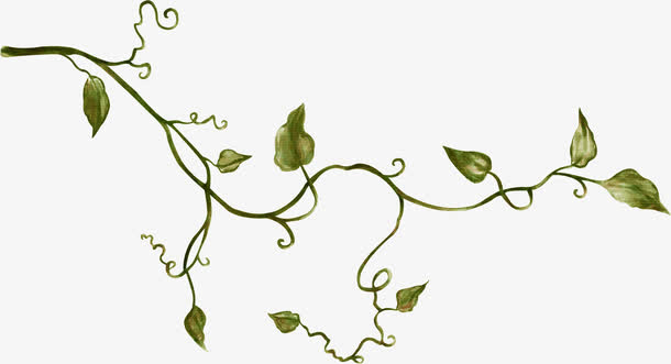 展示授权对象暂无授权使用范围仅供学习交流使用png葡萄 枝蔓 树藤