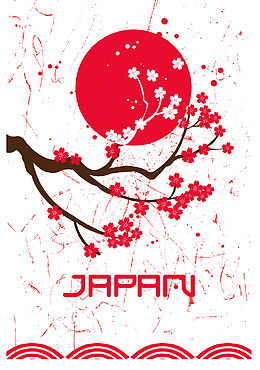 联合国樱花装饰