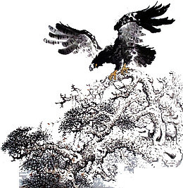 飞过丛林的海雕