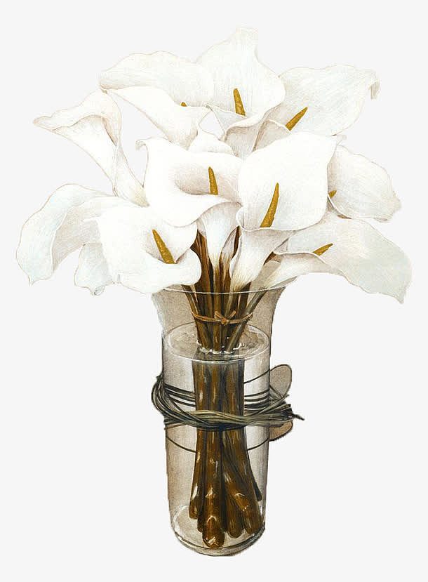 玻璃花瓶中的白色马蹄莲油画作品