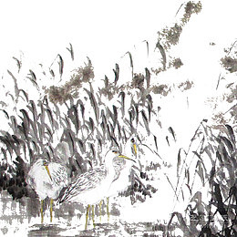 芦苇荡边的两只白鹅水墨画