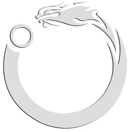 龙