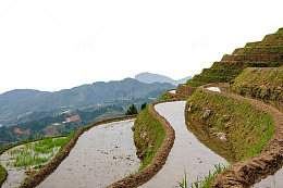 云南梯田