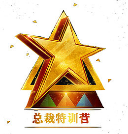 总裁特训营