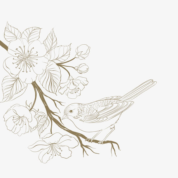 手绘褶皱纸张上的花鸟矢量图