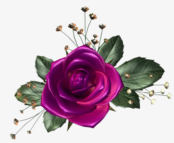 花草图片素材花草图案
