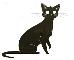 黑色猫咪