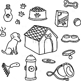 狗狗用品集合