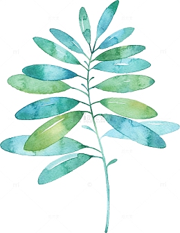 绿色水彩画草|树叶9