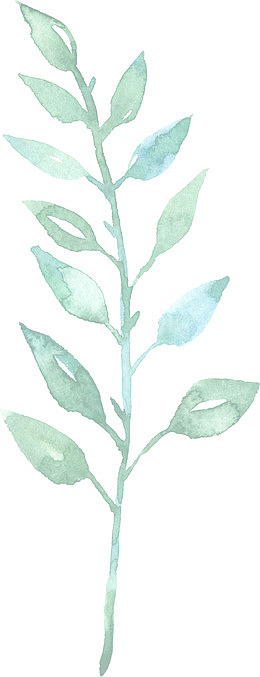 绿色水彩画草|树叶1
