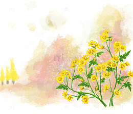 手绘唯美黄色的小花