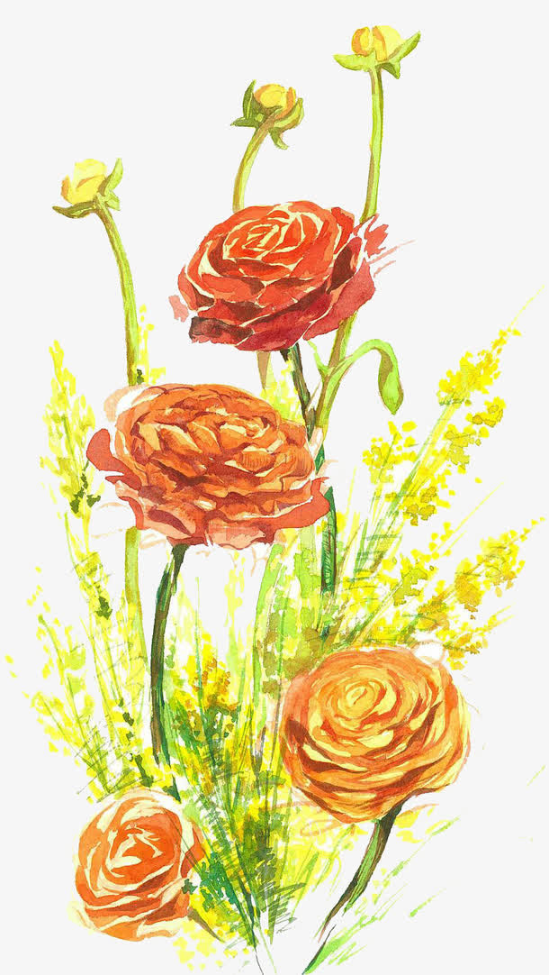 卡通插画大朵橘色洋牡丹