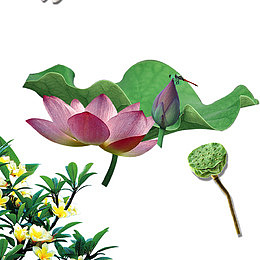 黄色现代海报装饰