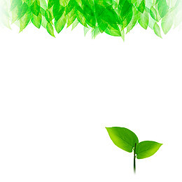 绿色现代植物装饰