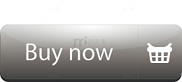 购物抢购按钮