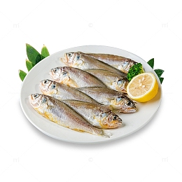 美味小鱼