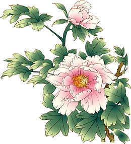 中国国花牡丹