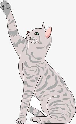 png伸出爪子的猫咪pngpng卡通猫咪和爪子pngpng手绘的猫爪pngpng可爱