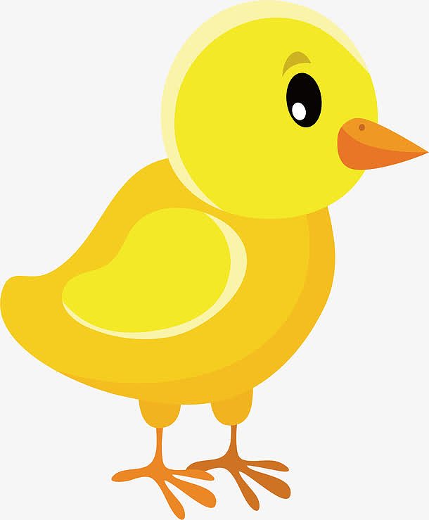 黄色小鸡矢量图