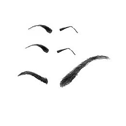 3对不对称女性眉毛素材