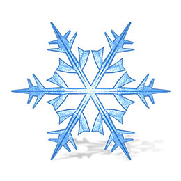 一片雪花