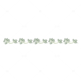 矢量图 分割