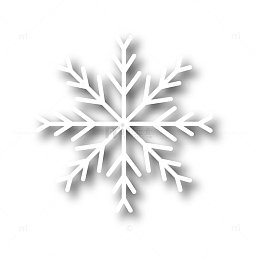 一片白色雪花